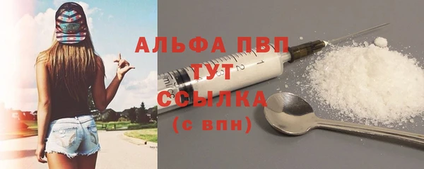 твердый Снежногорск