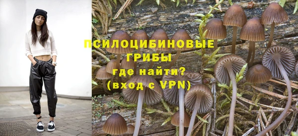 твердый Снежногорск