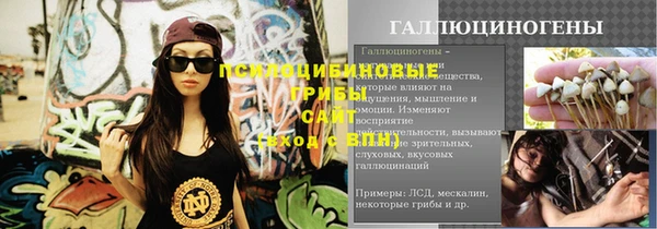 твердый Снежногорск