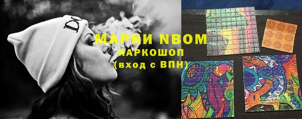 твердый Снежногорск