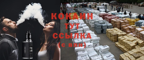 твердый Снежногорск
