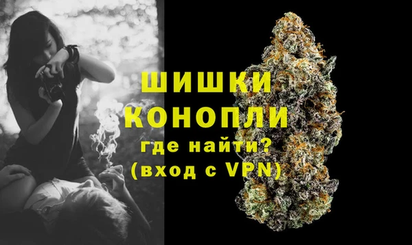твердый Снежногорск