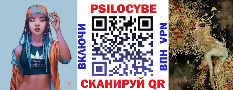 omg зеркало  Тында  Галлюциногенные грибы Psilocybine cubensis 